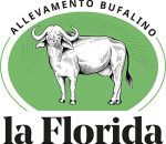 LaFlorida > Logo Off